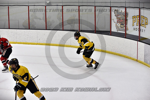 _GSP2175 (Copy)