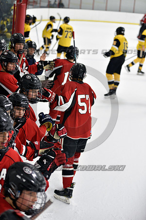 _GSP2184 (Copy)