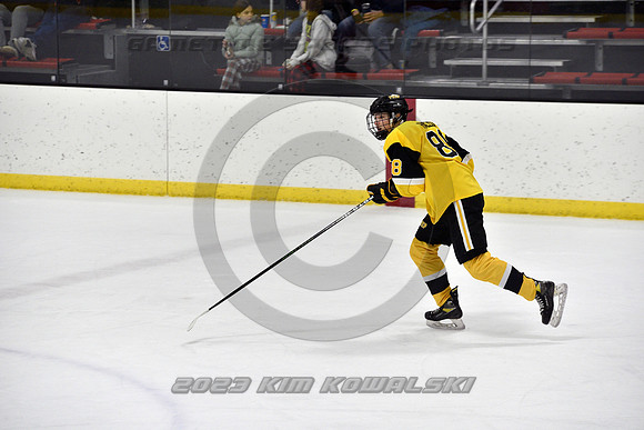 _GSP2197 (Copy)