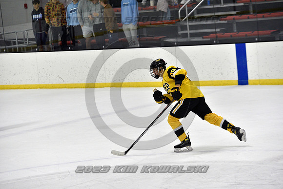_GSP2198 (Copy)
