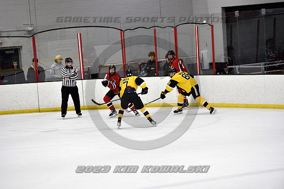 _GSP2199 (Copy)