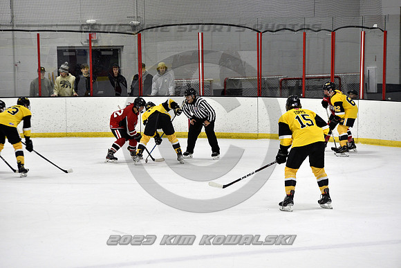 _GSP2208 (Copy)