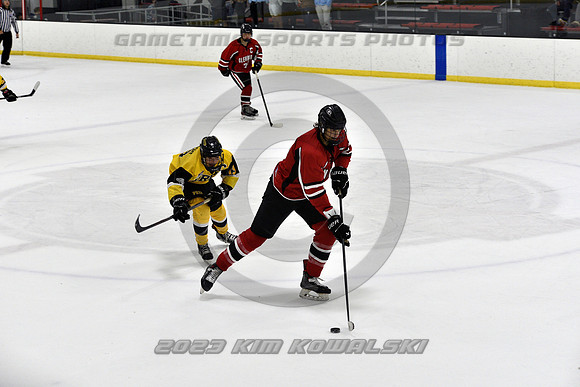 _GSP2215 (Copy)