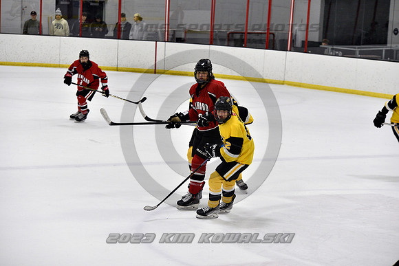 _GSP2223 (Copy)
