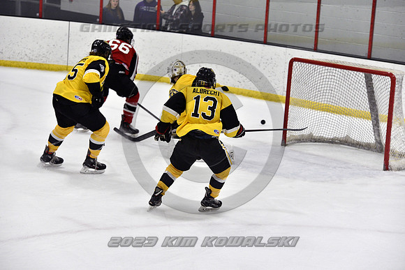 _GSP2217 (Copy)