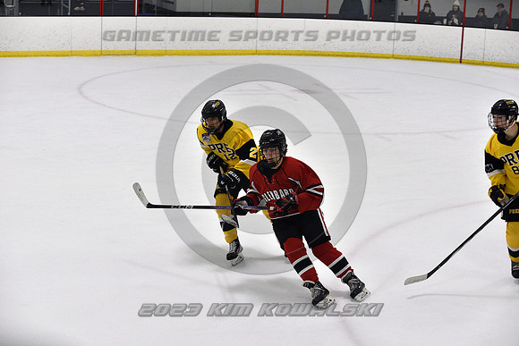 _GSP2233 (Copy)