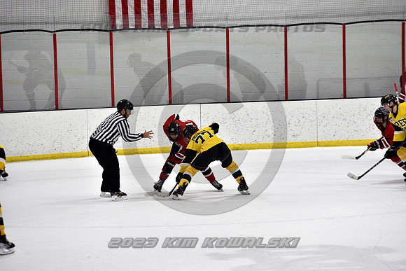 _GSP2238 (Copy)