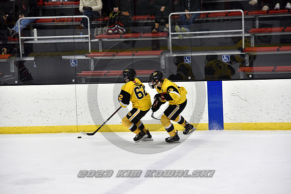 _GSP2263 (Copy)