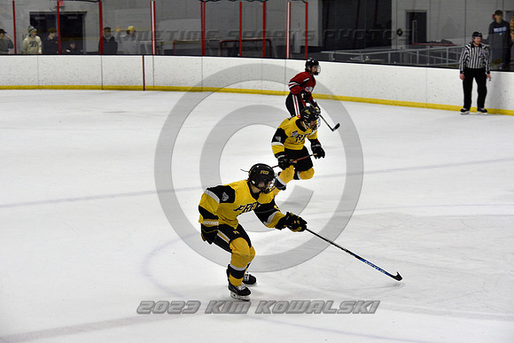 _GSP2268 (Copy)