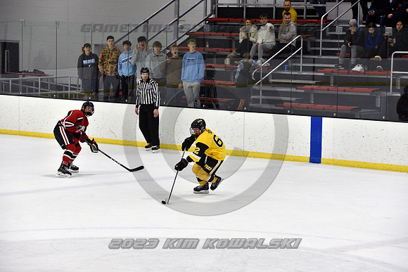 _GSP2274 (Copy)