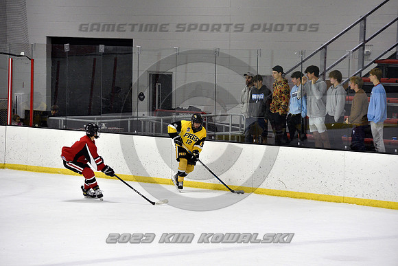 _GSP2293 (Copy)