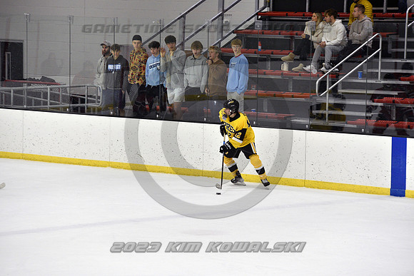 _GSP2294 (Copy)