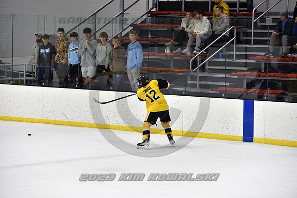 _GSP2295 (Copy)