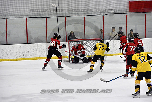 _GSP2306 (Copy)