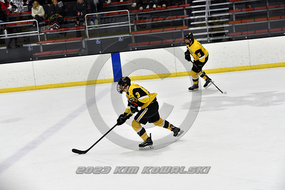 _GSP2337 (Copy)