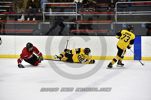 _GSP2384 (Copy)