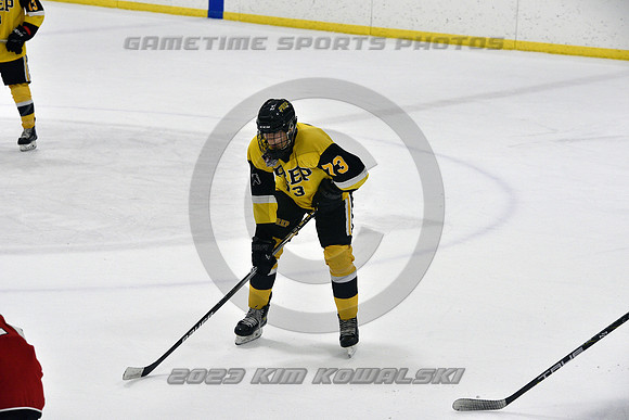 _GSP2396 (Copy)