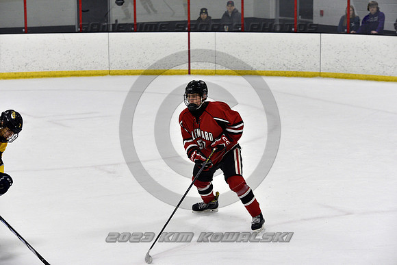 _GSP2411 (Copy)