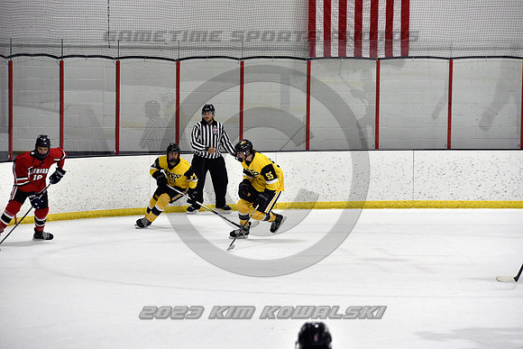 _GSP2431 (Copy)
