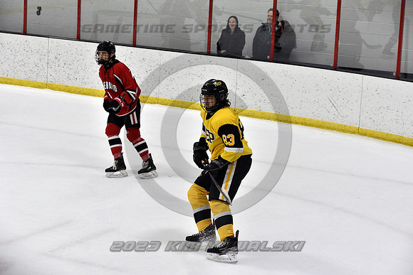 _GSP2442 (Copy)