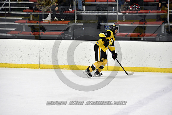 _GSP2453 (Copy)