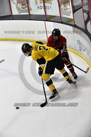 _GSP2473 (Copy)