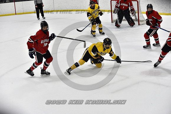 _GSP2476 (Copy)