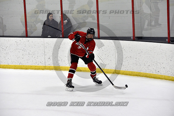 _GSP2595 (Copy)