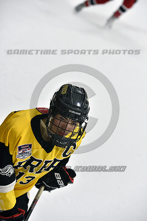 _GSP2596 (Copy)
