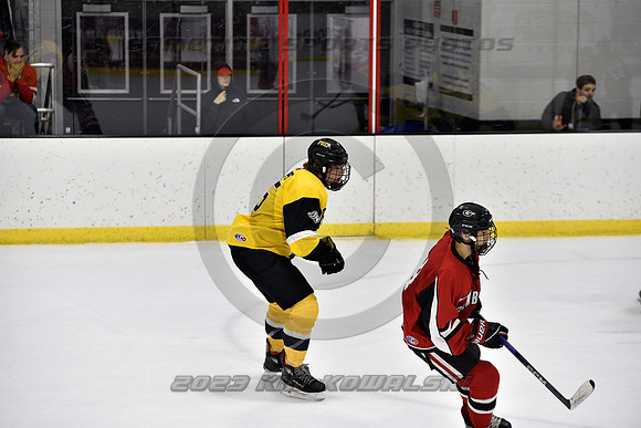 _GSP2609 (Copy)