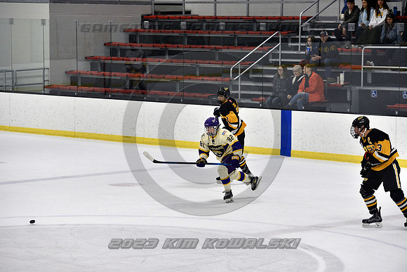 _GSP8136 (Copy)