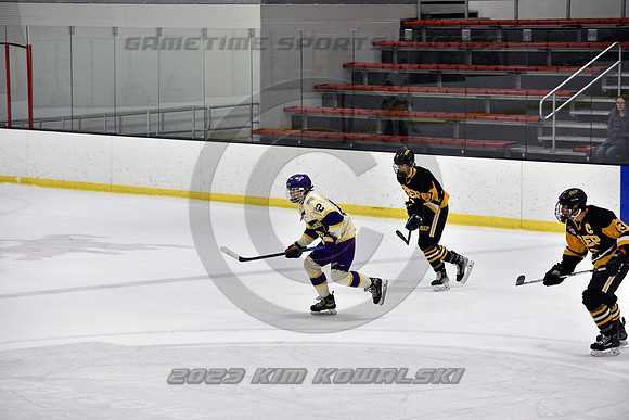 _GSP8137 (Copy)