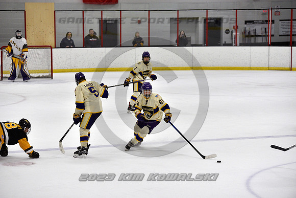 _GSP8138 (Copy)