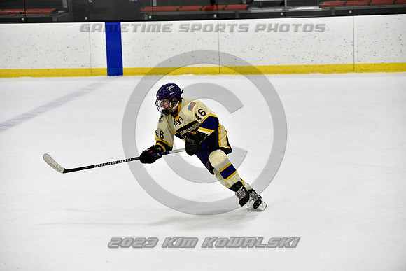 _GSP8183 (Copy)