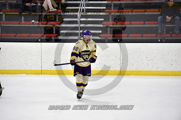 _GSP8218 (Copy)