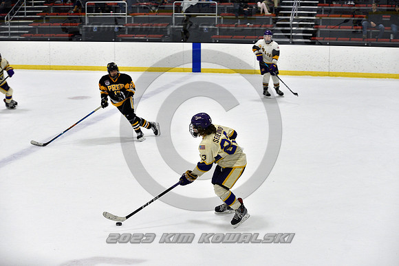 _GSP8265 (Copy)