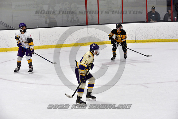 _GSP8294 (Copy)