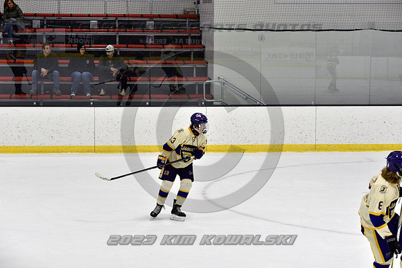 _GSP8295 (Copy)