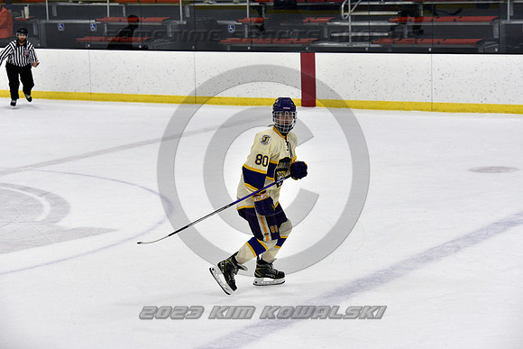 _GSP8318 (Copy)