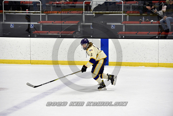 _GSP8373 (Copy)