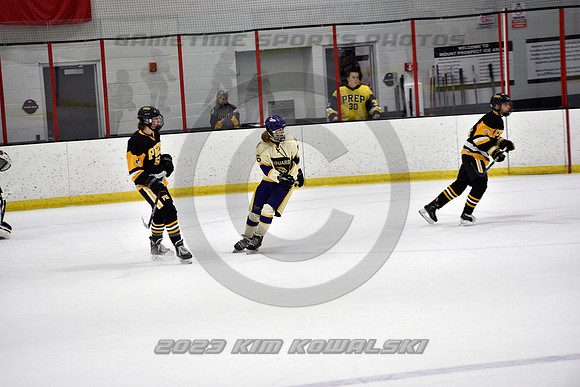 _GSP8375 (Copy)
