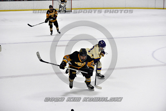 _GSP8413 (Copy)