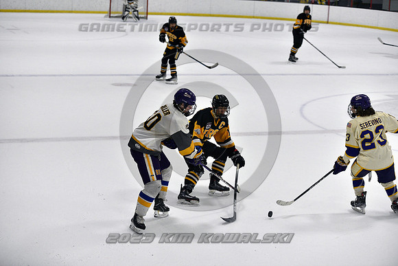 _GSP8436 (Copy)
