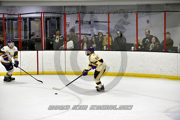 _GSP8439 (Copy)