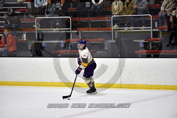 _GSP8453 (Copy)