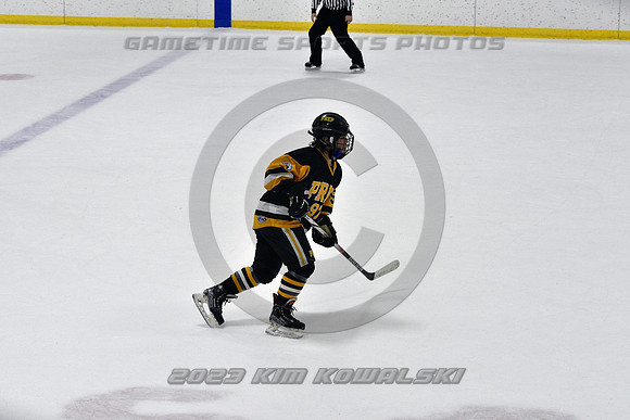 _GSP0534 (Copy)