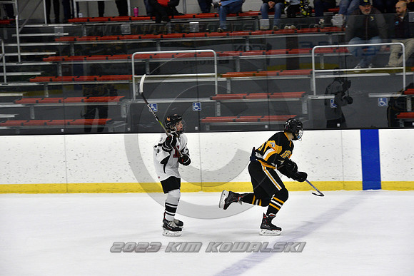 _GSP0539 (Copy)