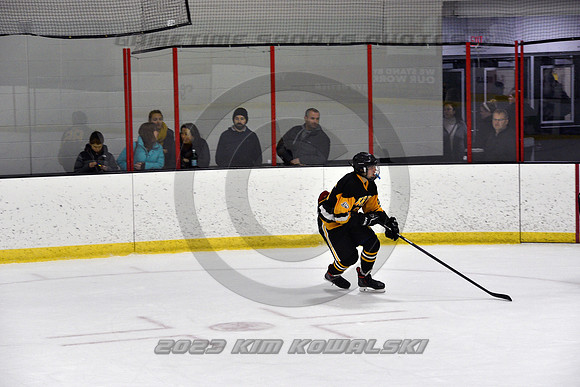 _GSP0542 (Copy)