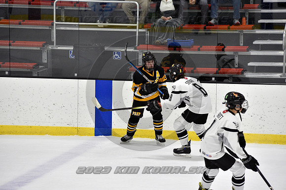 _GSP0581 (Copy)