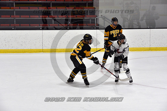 _GSP0580 (Copy)